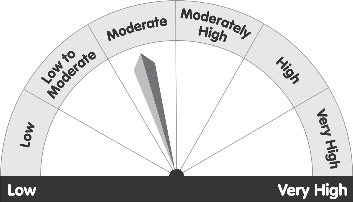 riskometer