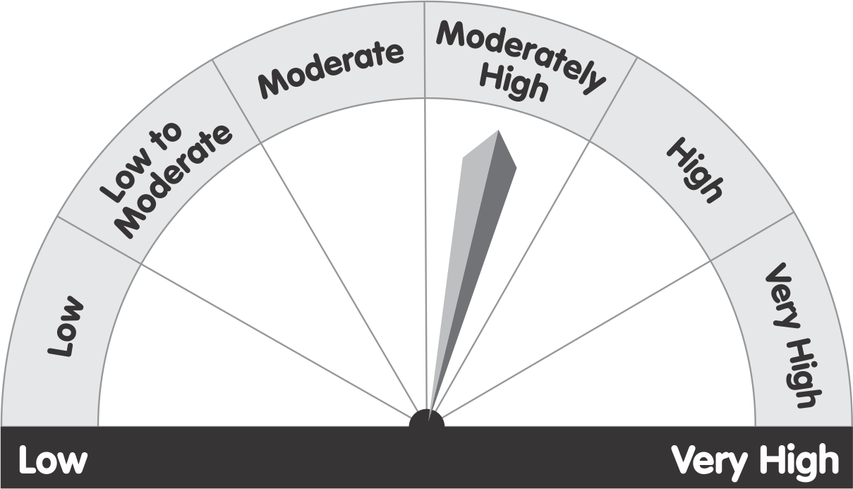 riskometer