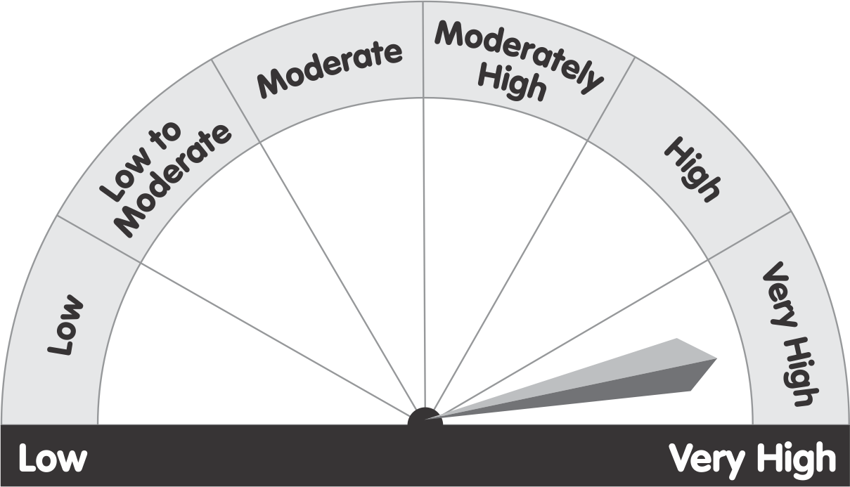 riskometer