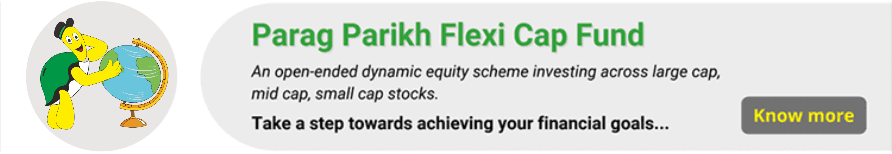 Parag Parikh Flexi Cap Fund Image