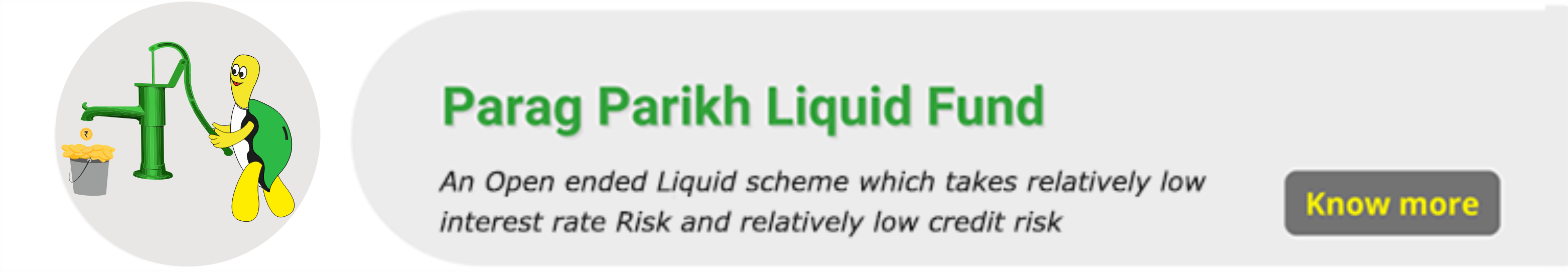 Parag Parikh Liquid Image