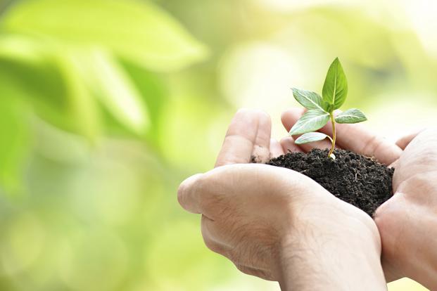 NRIs based in US and Canada can invest only in a few Indian mutual funds